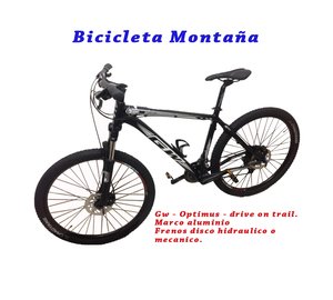 Bicicleta de Montaña