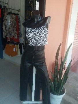 ropa