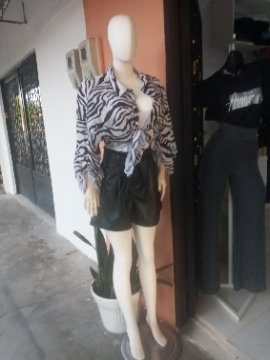 ropa